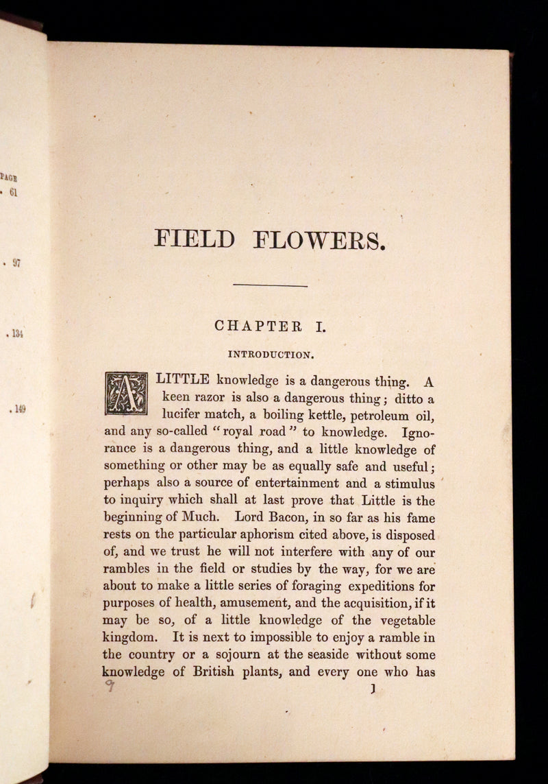 1878 Rare Victorian Book - FIELD FLOWERS, A handy-book for the rambling by the famous botanist James Shirley Hibberd.
