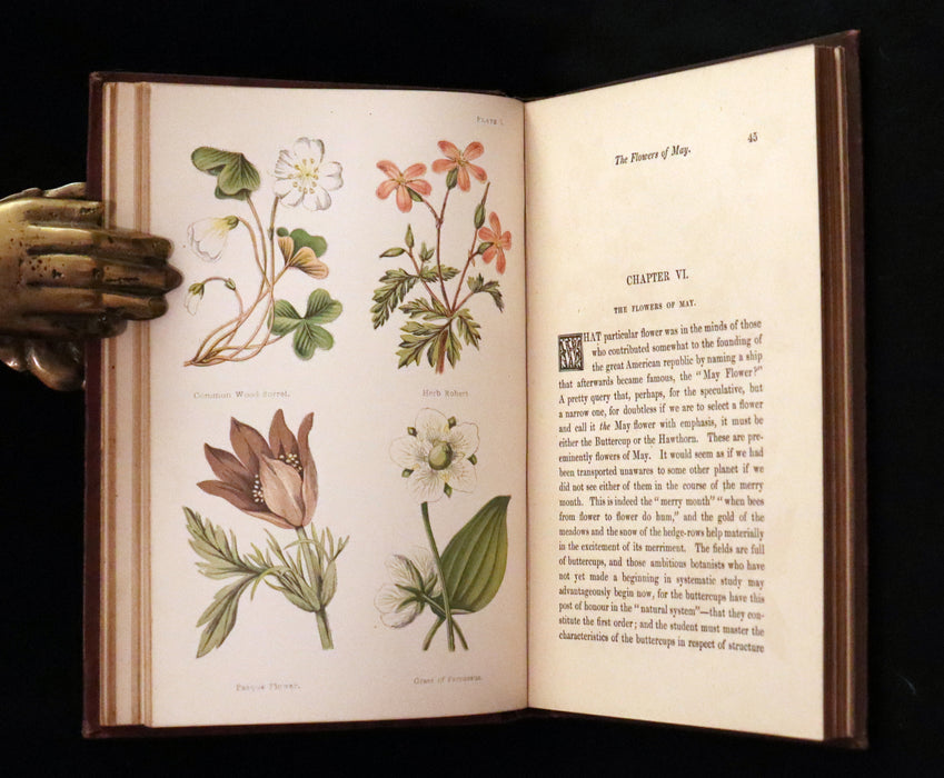 1878 Rare Victorian Book - FIELD FLOWERS, A handy-book for the rambling by the famous botanist James Shirley Hibberd.