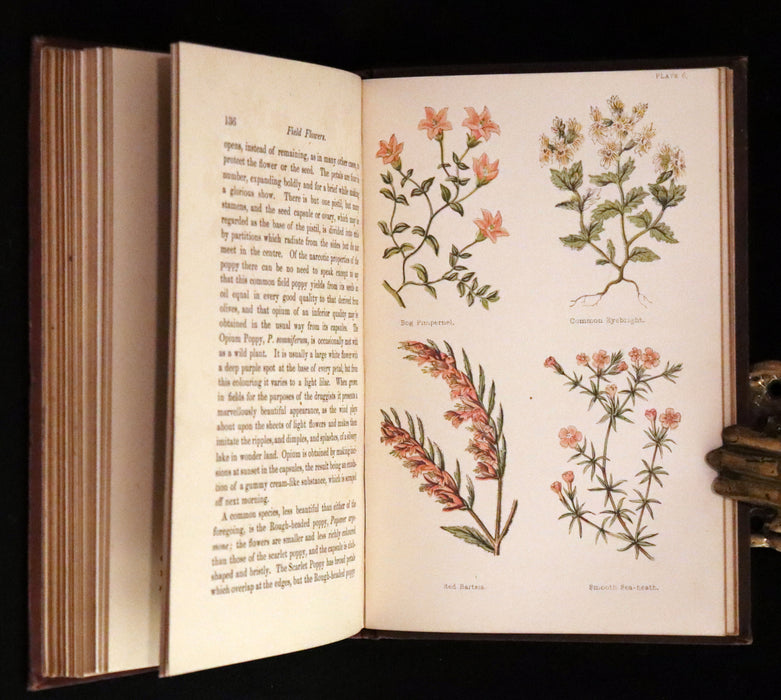 1878 Rare Victorian Book - FIELD FLOWERS, A handy-book for the rambling by the famous botanist James Shirley Hibberd.