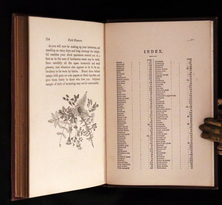 1878 Rare Victorian Book - FIELD FLOWERS, A handy-book for the rambling by the famous botanist James Shirley Hibberd.