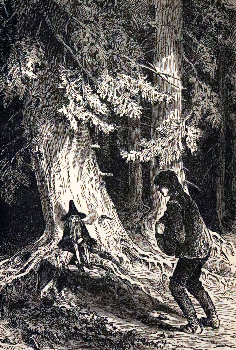 1880 Scarce First US Edition - William HAUFF'S Fairy Tales. Illustrated.