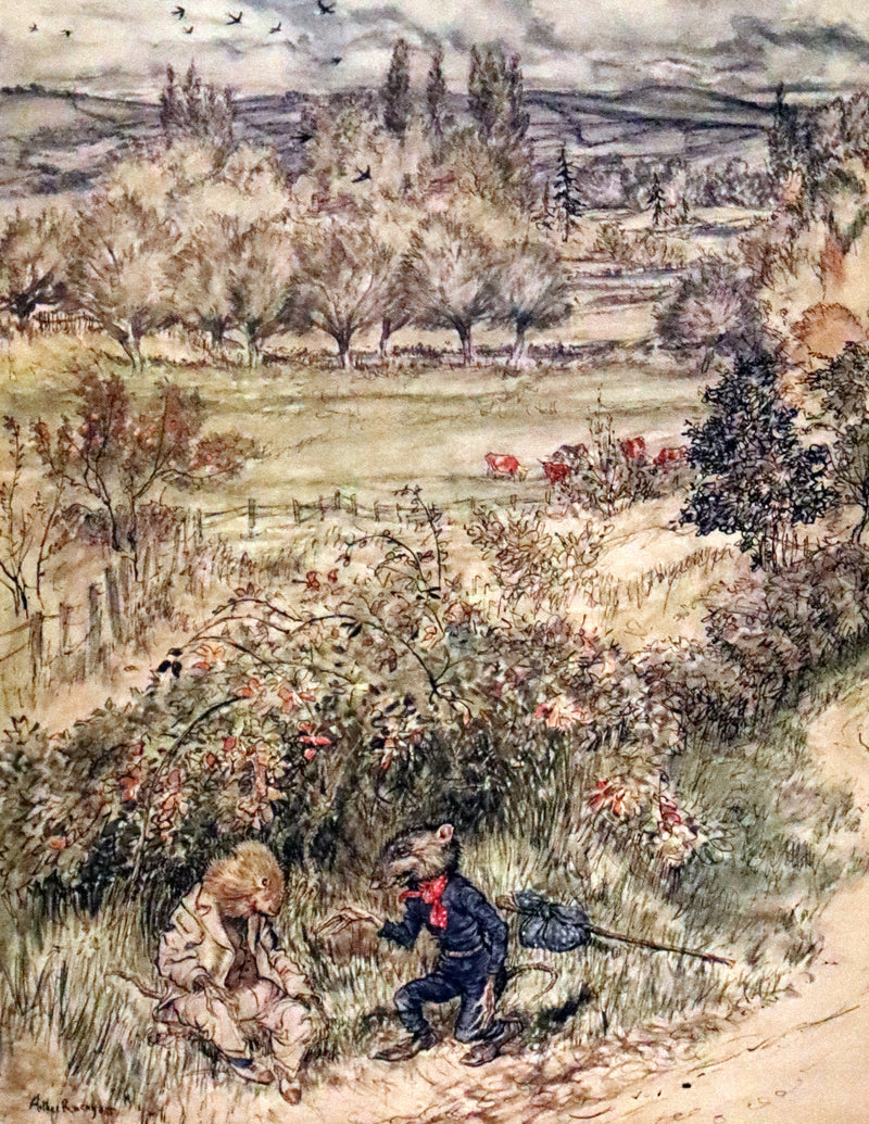 1950 Rare First RACKHAM Edition - The WIND IN THE WILLOWS by Kenneth Grahame.