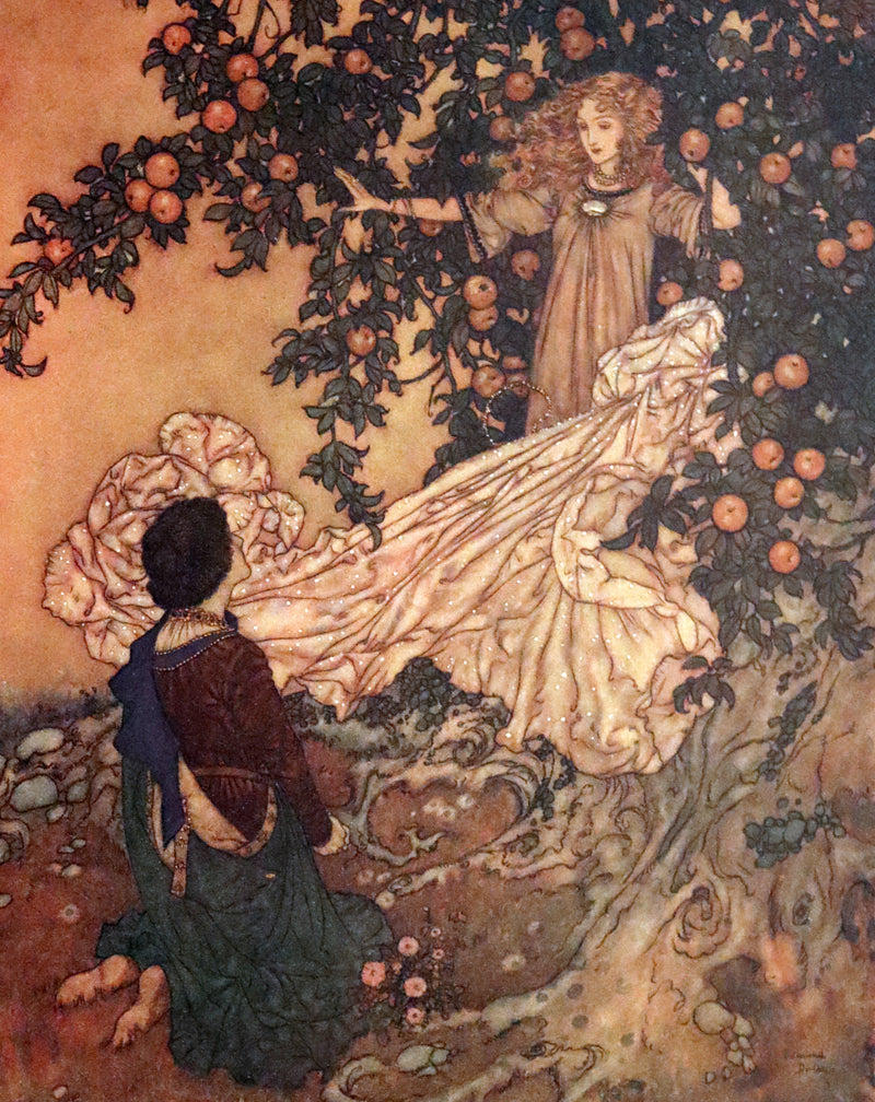 1911 Rare First Edition - The Nightingale and Other Stories from Andersen, Illustrated By Edmund Dulac.