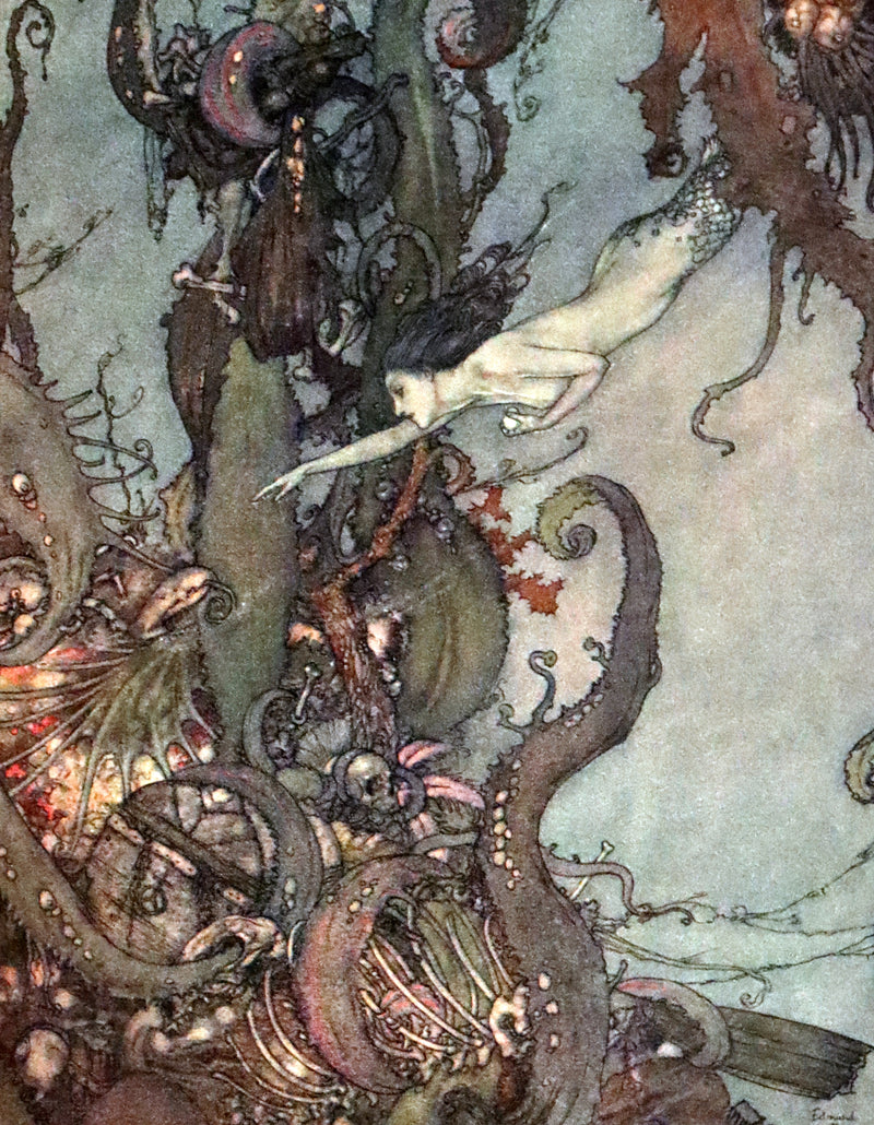 1911 Rare First Edition - The Nightingale and Other Stories from Andersen, Illustrated By Edmund Dulac.