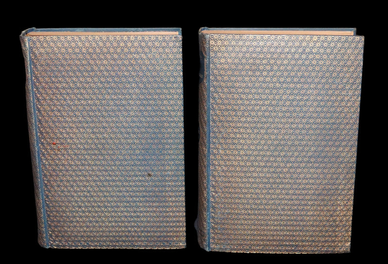 1897 Rare Victorian Book set - NOTRE-DAME de Paris, The Hunchback of Notre-Dame by Victor Hugo. Gothic.