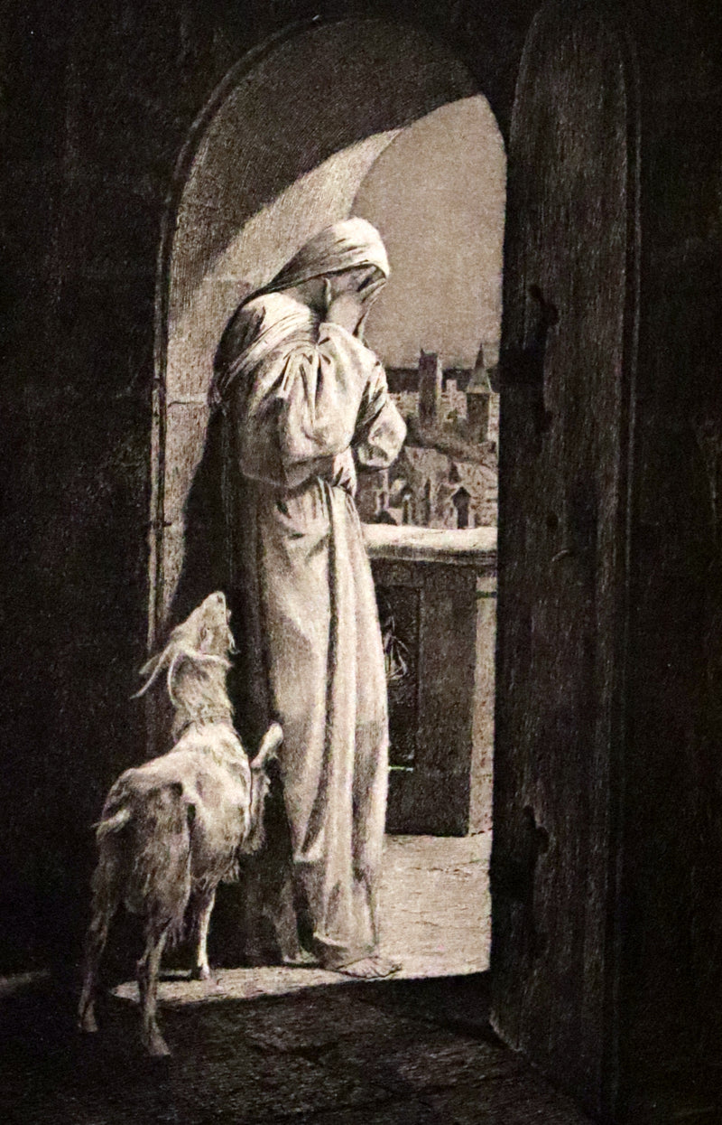 1897 Rare Victorian Book set - NOTRE-DAME de Paris, The Hunchback of Notre-Dame by Victor Hugo. Gothic.