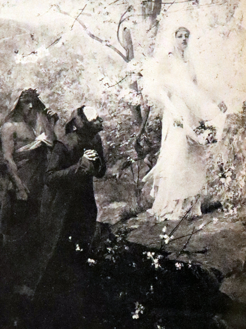 1899 Rare fine Dante book set in Bookcase - The Divina Commedia and Canzoniere translated by Edward Plumptre.