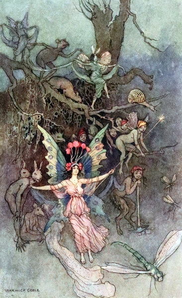1920 Rare First Edition - THE BOOK OF FAIRY POETRY Illustrated in color by Warwick Goble.