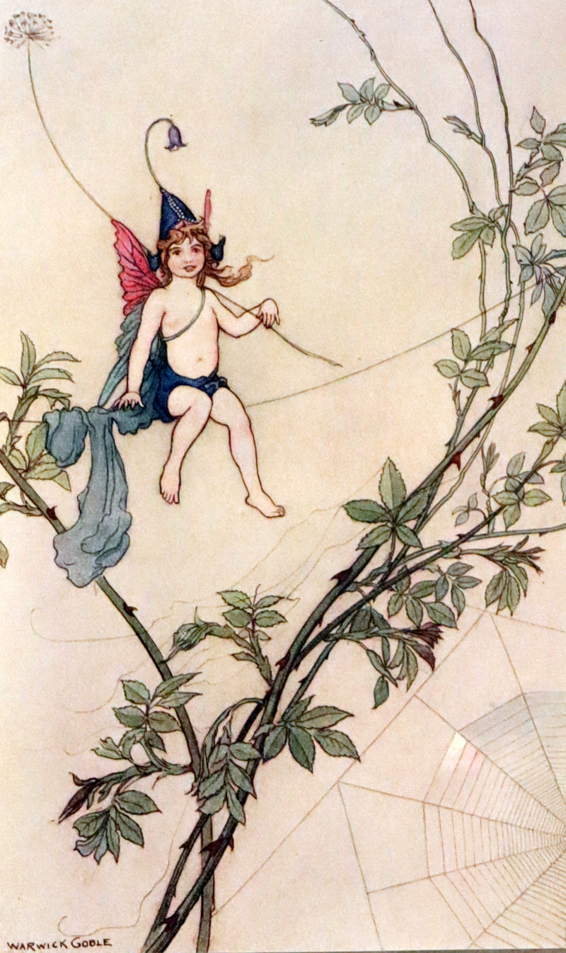 1920 Rare First Edition - THE BOOK OF FAIRY POETRY Illustrated in color by Warwick Goble.