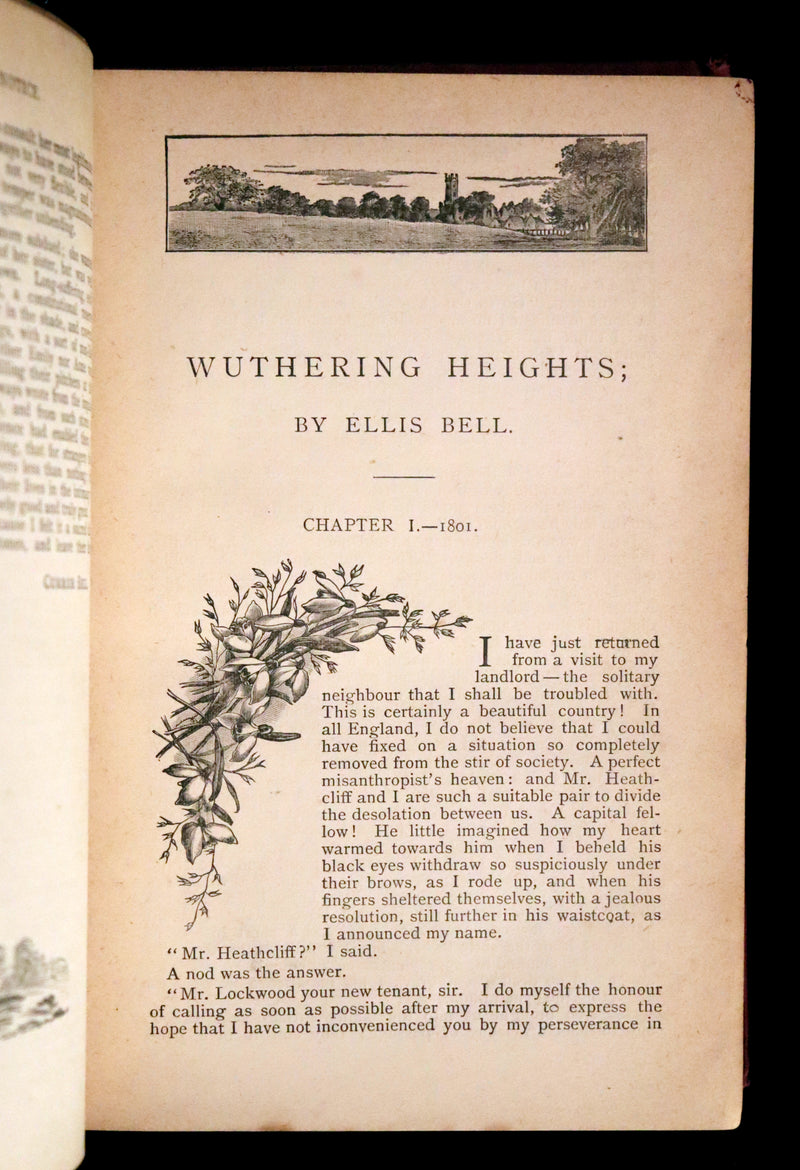 1895 Scarce Edition - WUTHERING HEIGHTS by Ellis Bell, And Agnes Grey by Acton Bell.