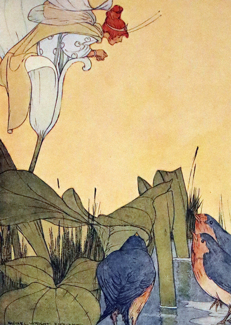 1915 Scarce First Edition - FLOWER FAIRIES by Clara Ingram Judson illustrated by Maginel Wright Enright.