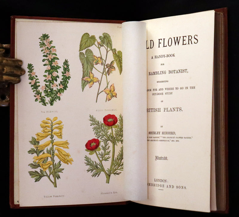 1880 Rare Victorian Book - FIELD FLOWERS, A handy-book for the rambling by the famous botanist James Shirley Hibberd.