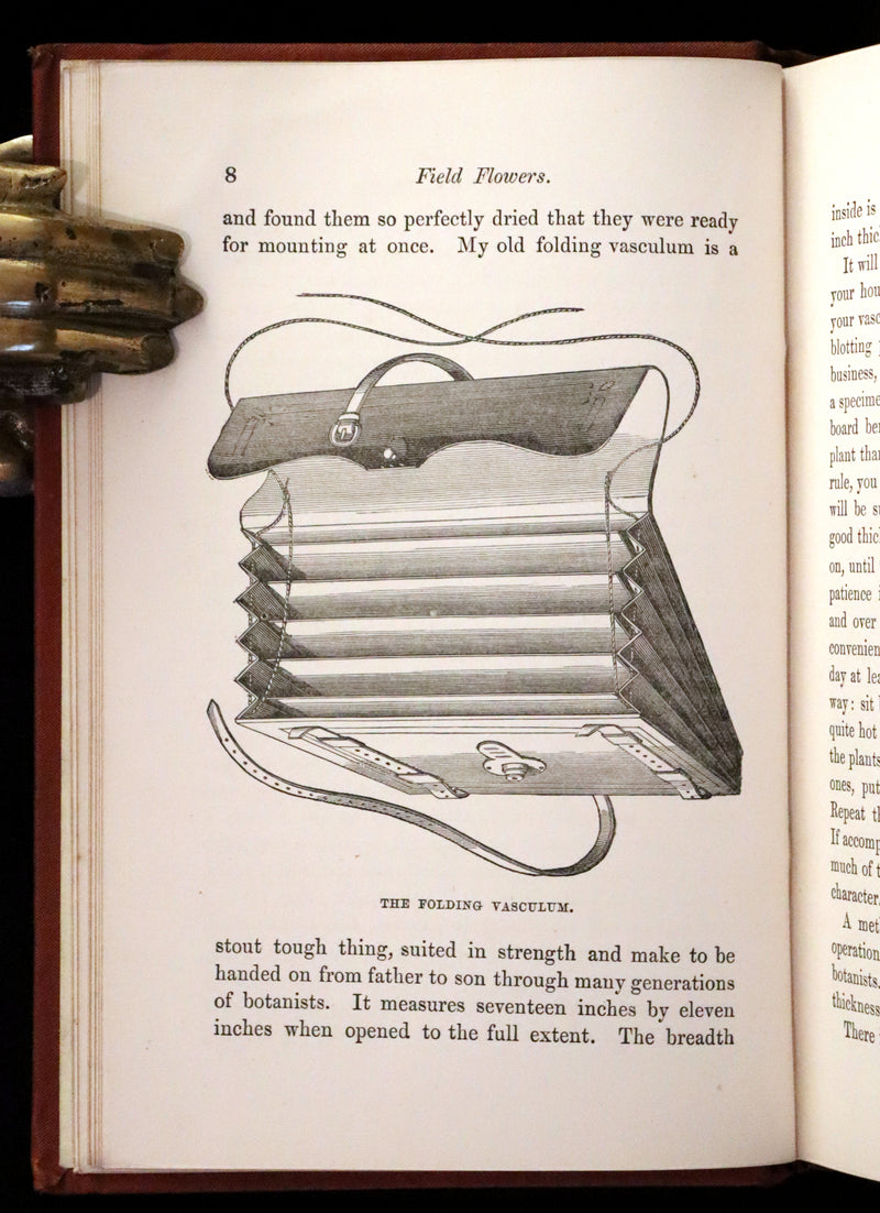 1880 Rare Victorian Book - FIELD FLOWERS, A handy-book for the rambling by the famous botanist James Shirley Hibberd.