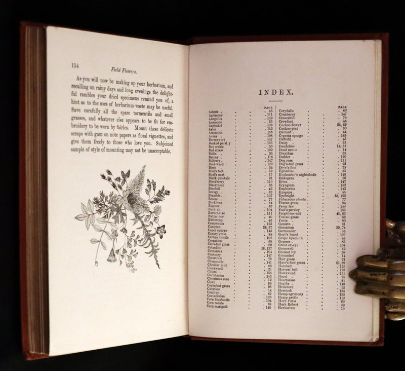 1880 Rare Victorian Book - FIELD FLOWERS, A handy-book for the rambling by the famous botanist James Shirley Hibberd.