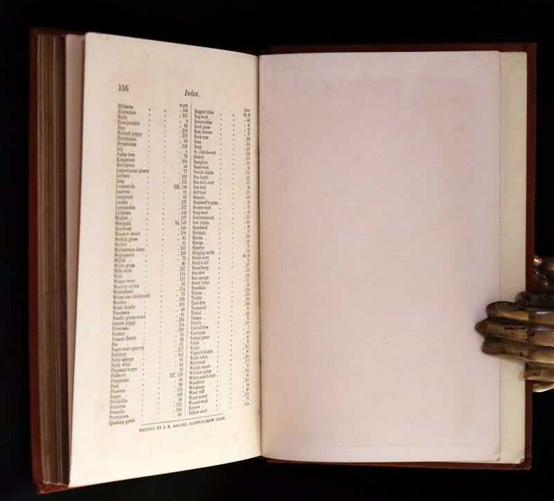 1880 Rare Victorian Book - FIELD FLOWERS, A handy-book for the rambling by the famous botanist James Shirley Hibberd.