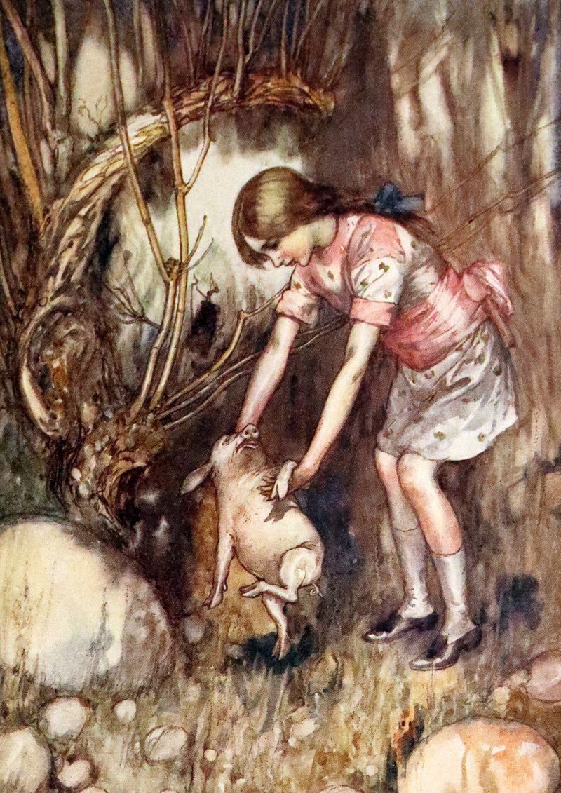 1915 Scarce First Edition - Alice's Adventures in Wonderland illustrated by Albert Edward Jackson.