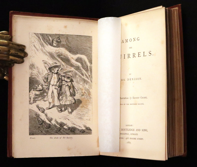 1867 Scarce First Edition ~ AMONG THE SQUIRRELS by Mrs. Denison, Illustrated by Griset & engraved by Dalziel Brothers.