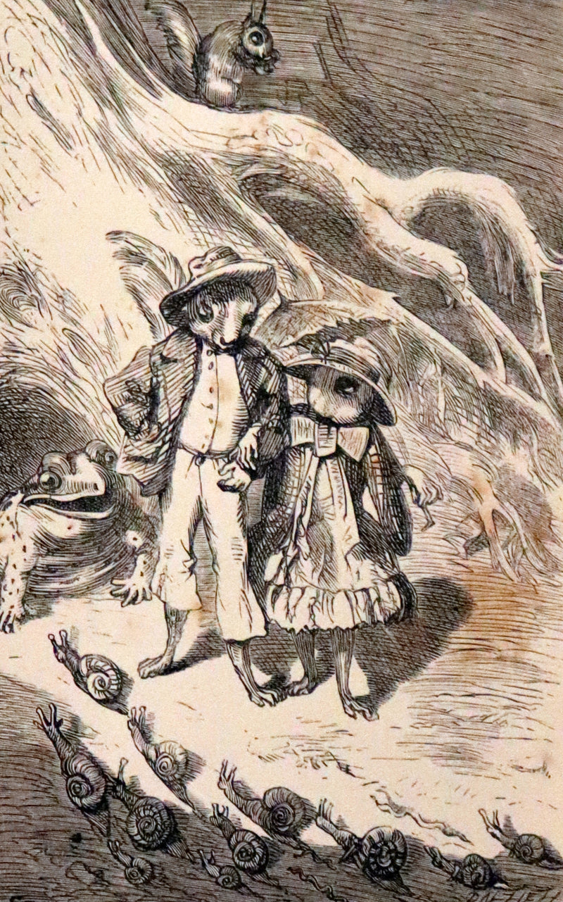 1867 Scarce First Edition ~ AMONG THE SQUIRRELS by Mrs. Denison, Illustrated by Griset & engraved by Dalziel Brothers.