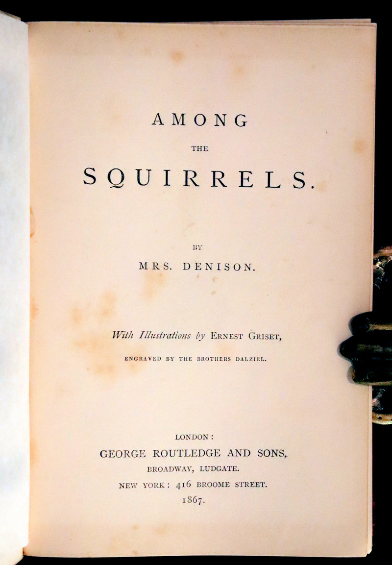 1867 Scarce First Edition ~ AMONG THE SQUIRRELS by Mrs. Denison, Illustrated by Griset & engraved by Dalziel Brothers.
