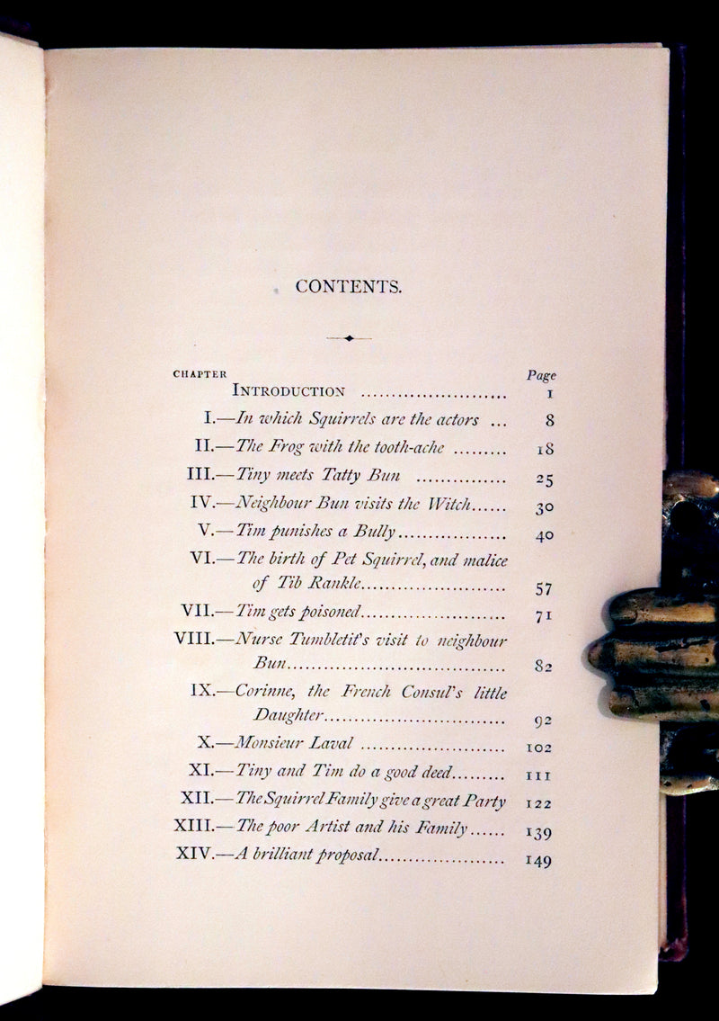 1867 Scarce First Edition ~ AMONG THE SQUIRRELS by Mrs. Denison, Illustrated by Griset & engraved by Dalziel Brothers.