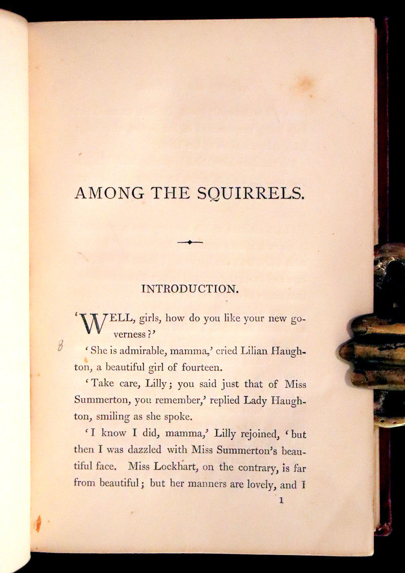 1867 Scarce First Edition ~ AMONG THE SQUIRRELS by Mrs. Denison, Illustrated by Griset & engraved by Dalziel Brothers.