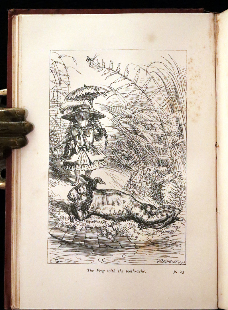 1867 Scarce First Edition ~ AMONG THE SQUIRRELS by Mrs. Denison, Illustrated by Griset & engraved by Dalziel Brothers.