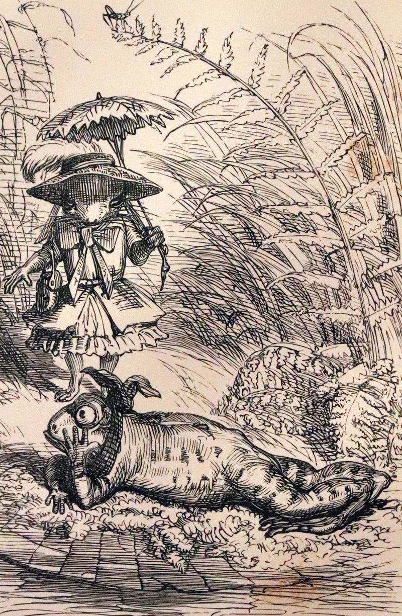 1867 Scarce First Edition ~ AMONG THE SQUIRRELS by Mrs. Denison, Illustrated by Griset & engraved by Dalziel Brothers.