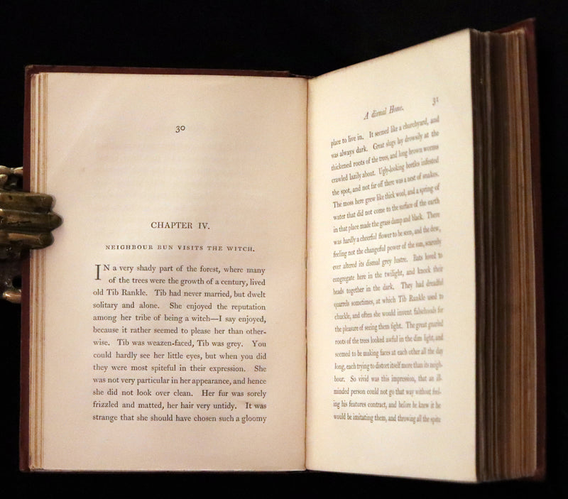 1867 Scarce First Edition ~ AMONG THE SQUIRRELS by Mrs. Denison, Illustrated by Griset & engraved by Dalziel Brothers.