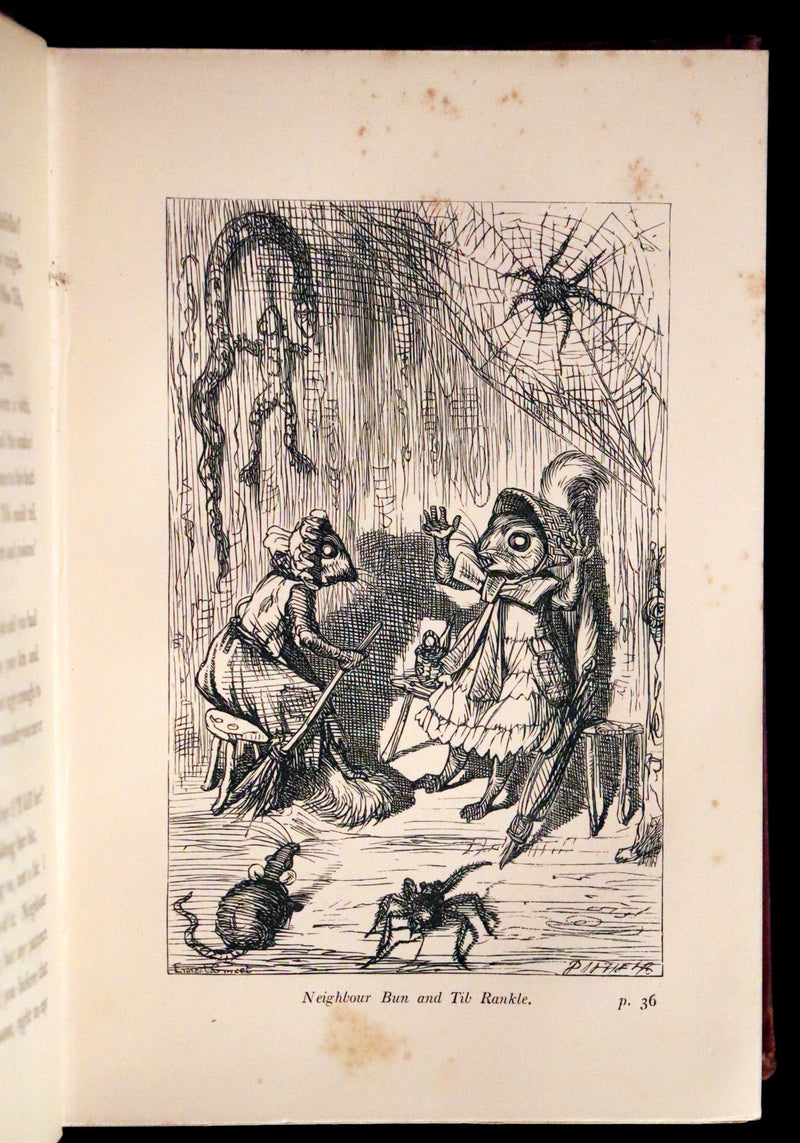 1867 Scarce First Edition ~ AMONG THE SQUIRRELS by Mrs. Denison, Illustrated by Griset & engraved by Dalziel Brothers.