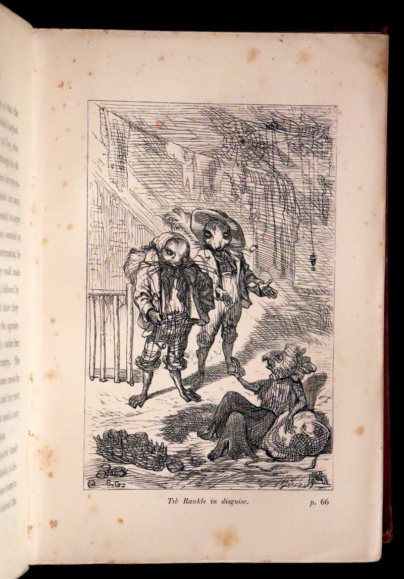 1867 Scarce First Edition ~ AMONG THE SQUIRRELS by Mrs. Denison, Illustrated by Griset & engraved by Dalziel Brothers.
