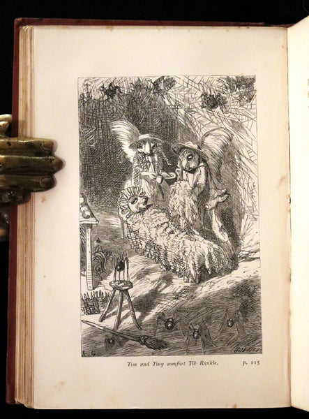 1867 Scarce First Edition ~ AMONG THE SQUIRRELS by Mrs. Denison, Illustrated by Griset & engraved by Dalziel Brothers.