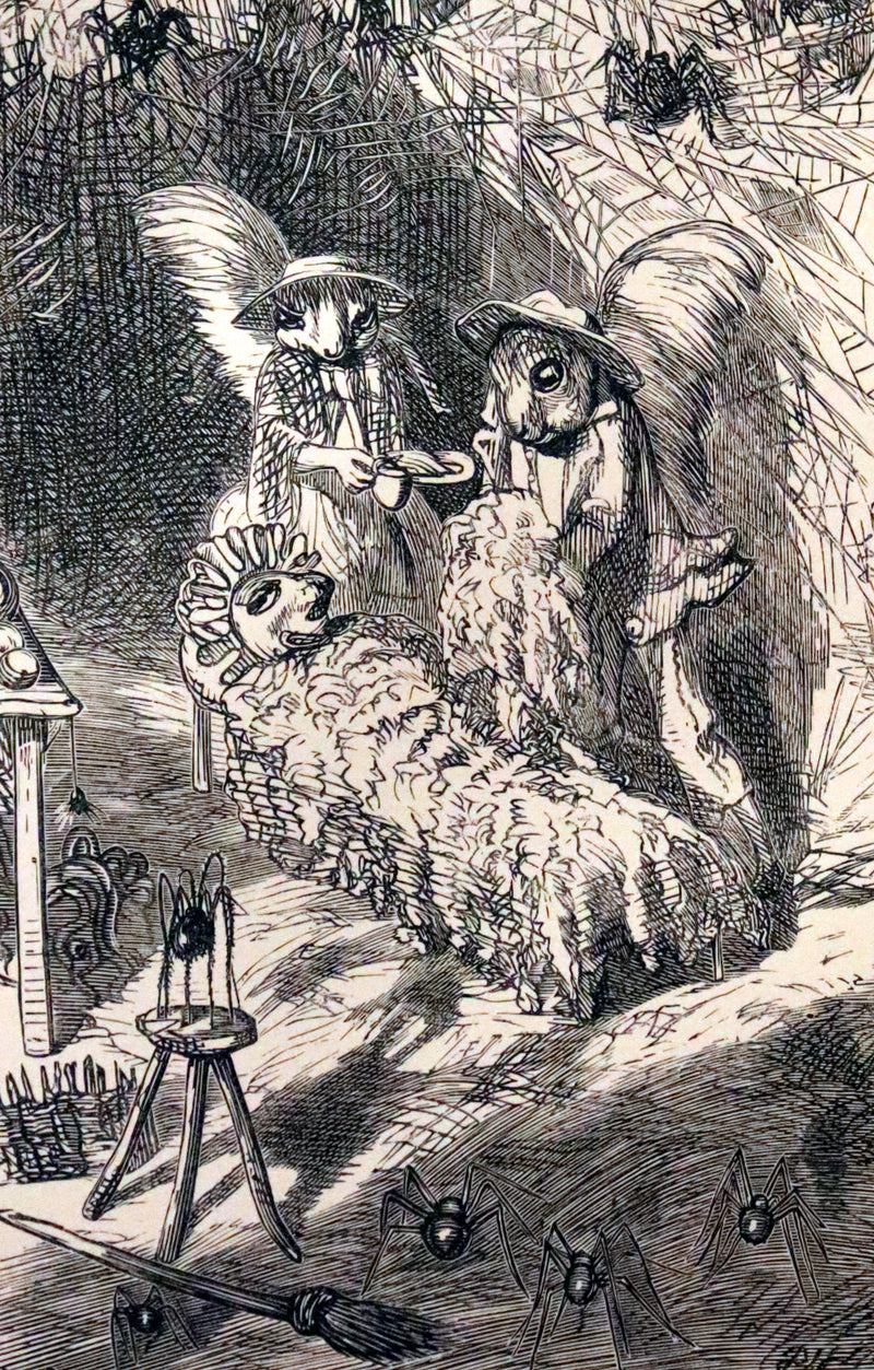 1867 Scarce First Edition ~ AMONG THE SQUIRRELS by Mrs. Denison, Illustrated by Griset & engraved by Dalziel Brothers.