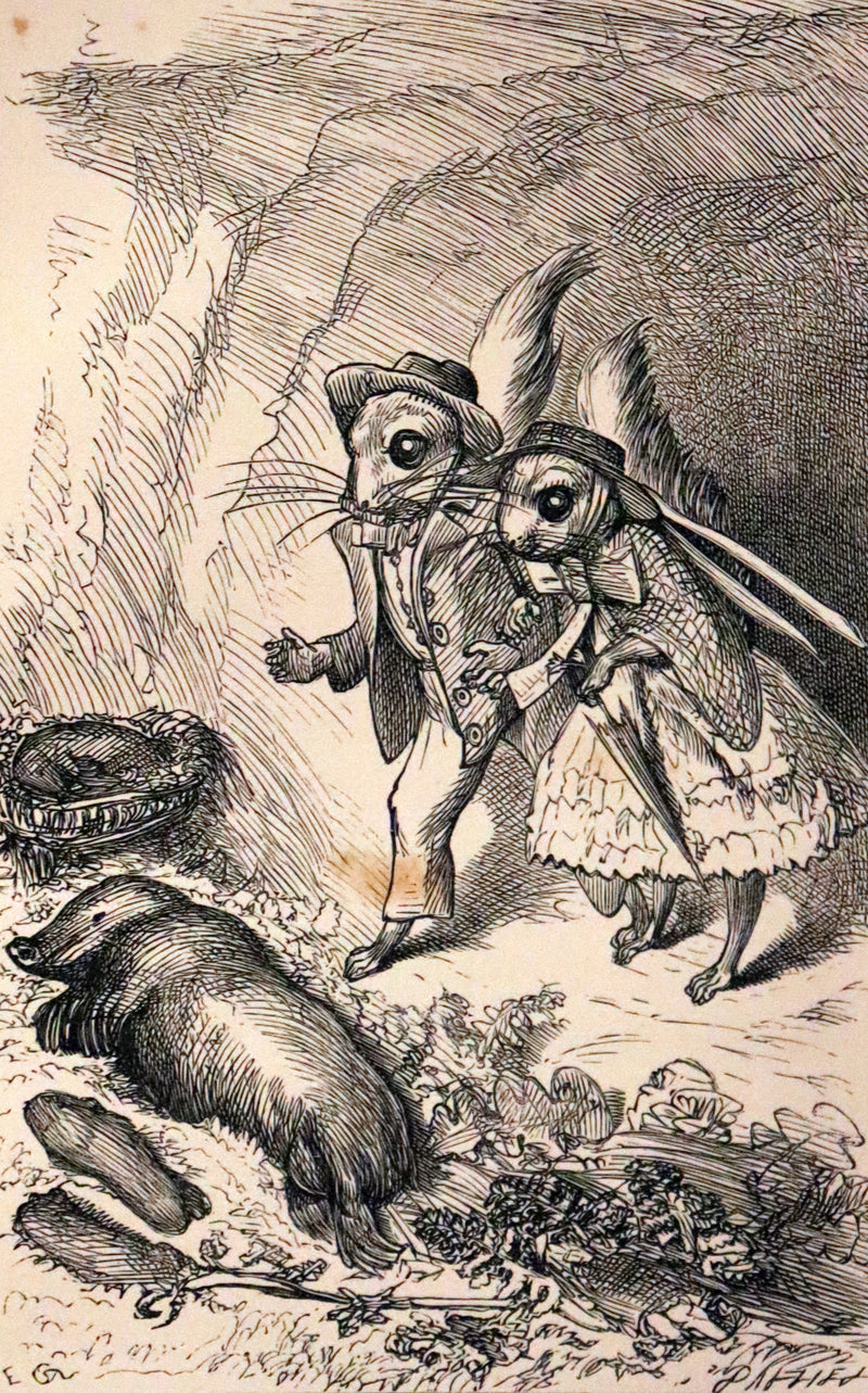 1867 Scarce First Edition ~ AMONG THE SQUIRRELS by Mrs. Denison, Illustrated by Griset & engraved by Dalziel Brothers.