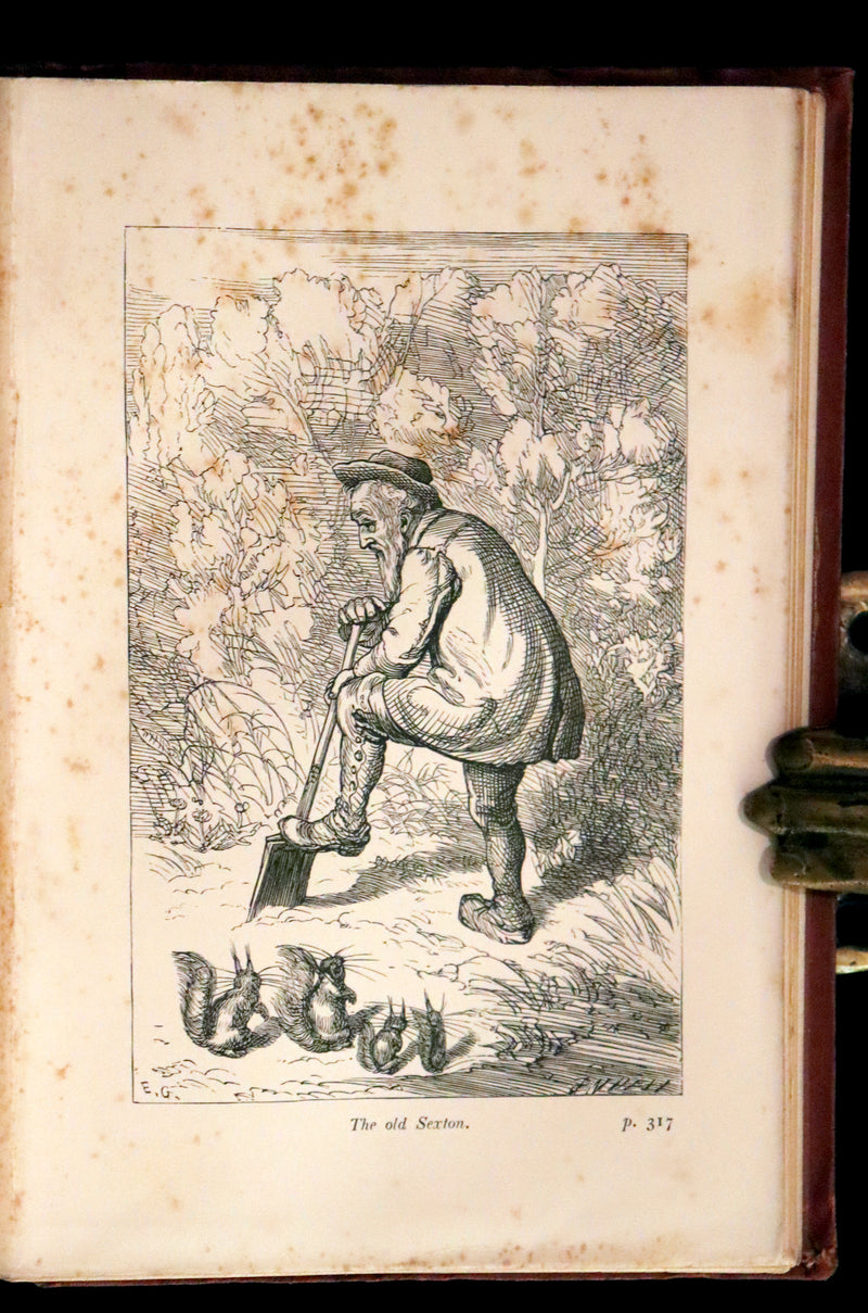 1867 Scarce First Edition ~ AMONG THE SQUIRRELS by Mrs. Denison, Illustrated by Griset & engraved by Dalziel Brothers.