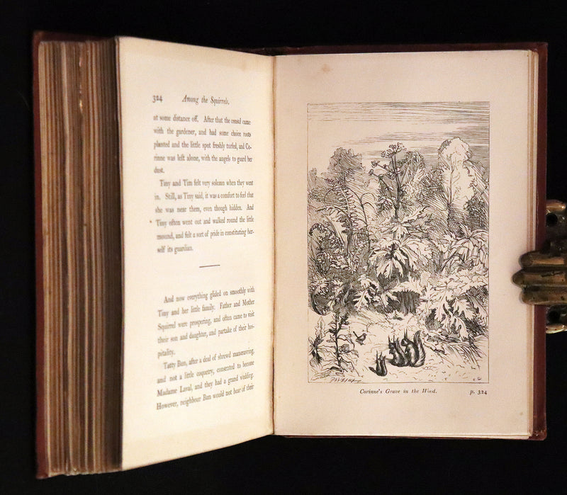 1867 Scarce First Edition ~ AMONG THE SQUIRRELS by Mrs. Denison, Illustrated by Griset & engraved by Dalziel Brothers.