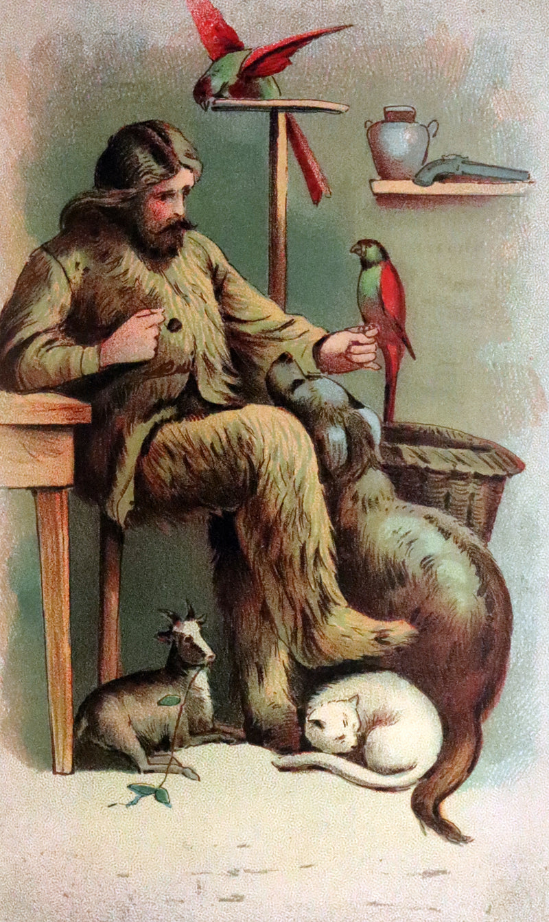 1895 Rare Book - THE ADVENTURES OF ROBINSON CRUSOE illustrated by Browne & Griset.