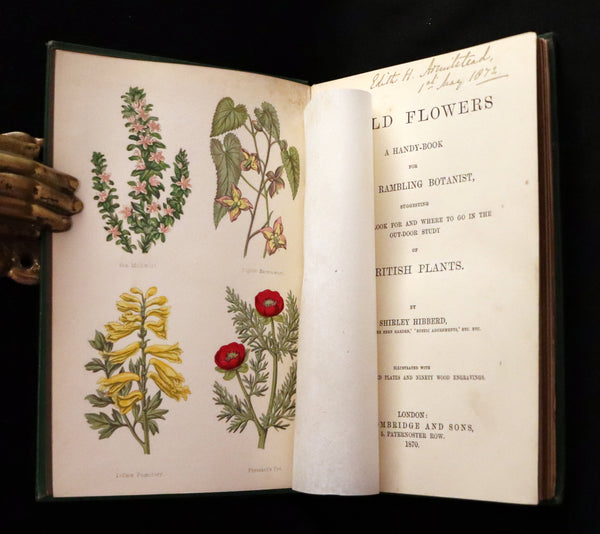 1870 Scarce First Edition - FIELD FLOWERS, A handy-book for the rambling by the famous botanist James Shirley Hibberd.