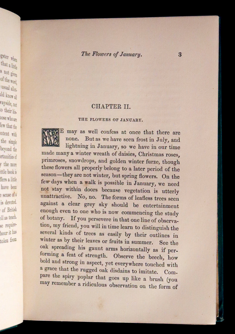 1870 Scarce First Edition - FIELD FLOWERS, A handy-book for the rambling by the famous botanist James Shirley Hibberd.