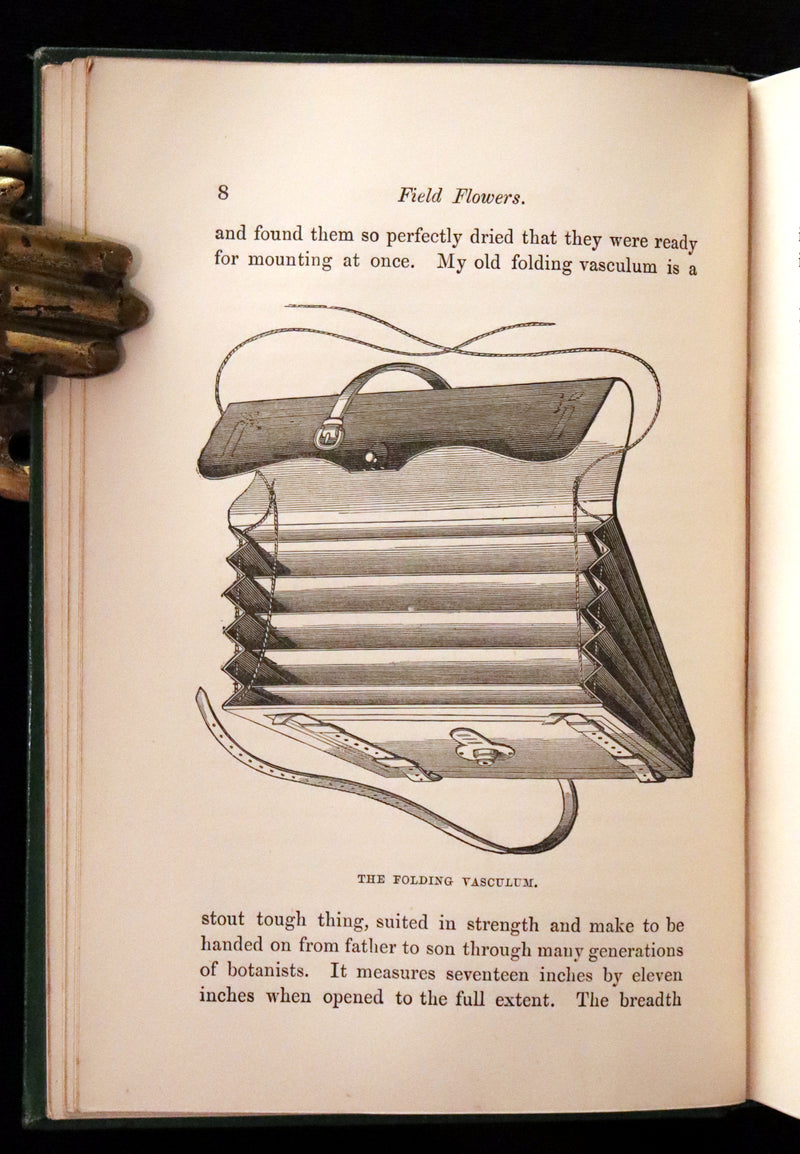 1870 Scarce First Edition - FIELD FLOWERS, A handy-book for the rambling by the famous botanist James Shirley Hibberd.