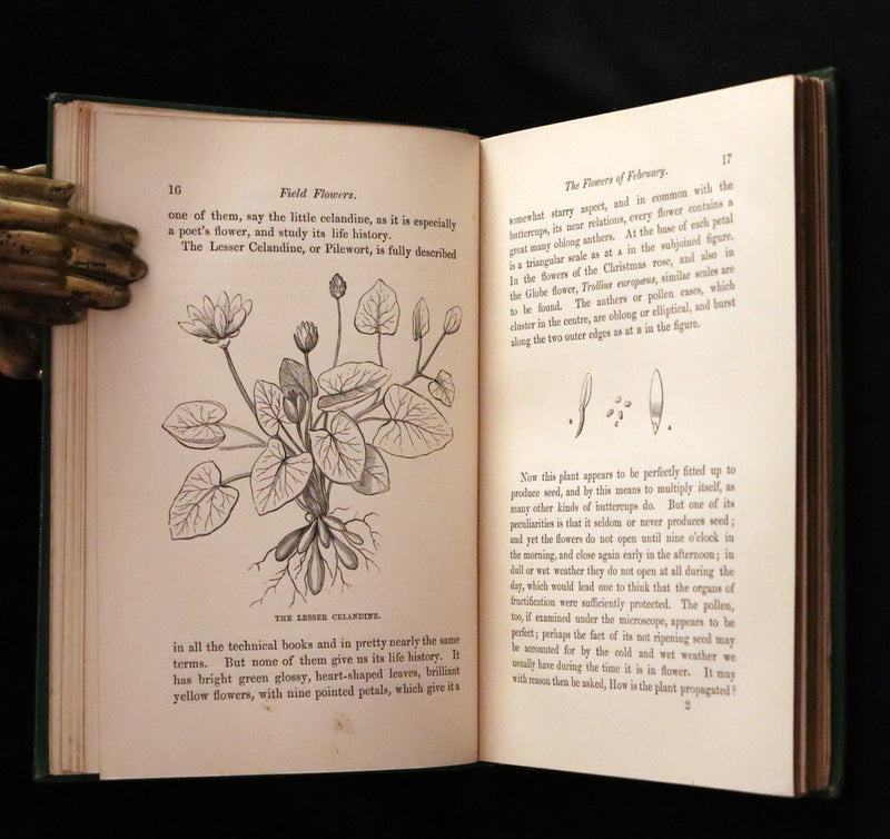 1870 Scarce First Edition - FIELD FLOWERS, A handy-book for the rambling by the famous botanist James Shirley Hibberd.