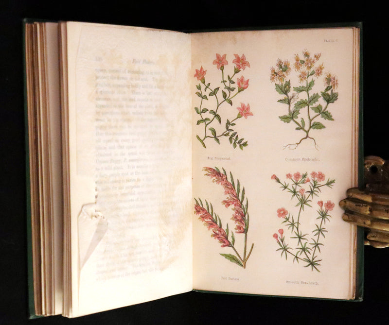 1870 Scarce First Edition - FIELD FLOWERS, A handy-book for the rambling by the famous botanist James Shirley Hibberd.