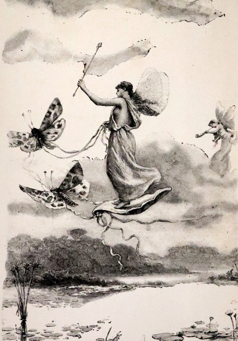 1901 Scarce First Edition - BUTTERFLY FAIRY BOOK illustrated by Richard Doyle.