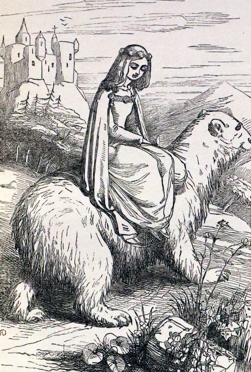 1901 Scarce First Edition - BUTTERFLY FAIRY BOOK illustrated by Richard Doyle.