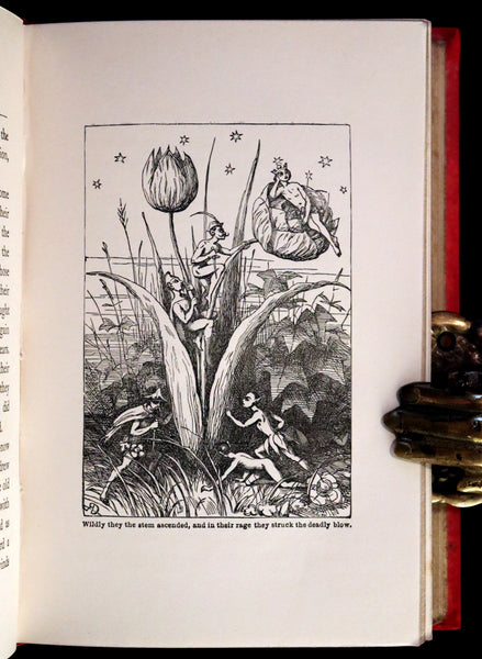 1901 Scarce First Edition - BUTTERFLY FAIRY BOOK illustrated by Richard Doyle.