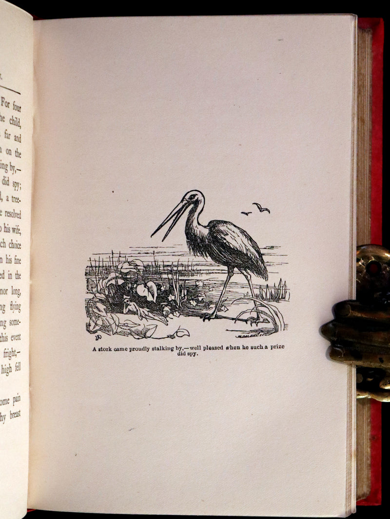 1901 Scarce First Edition - BUTTERFLY FAIRY BOOK illustrated by Richard Doyle.