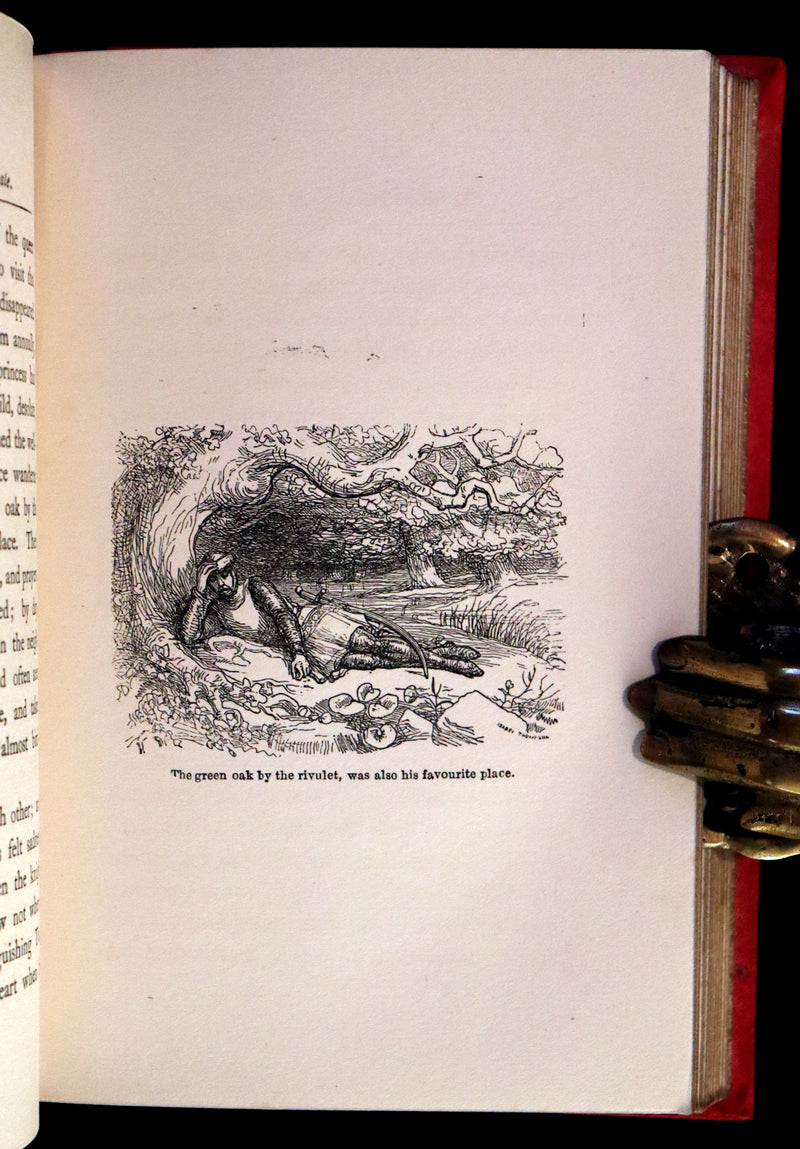 1901 Scarce First Edition - BUTTERFLY FAIRY BOOK illustrated by Richard Doyle.