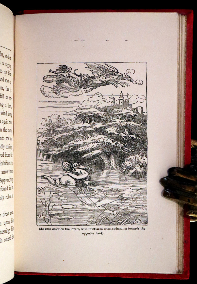 1901 Scarce First Edition - BUTTERFLY FAIRY BOOK illustrated by Richard Doyle.