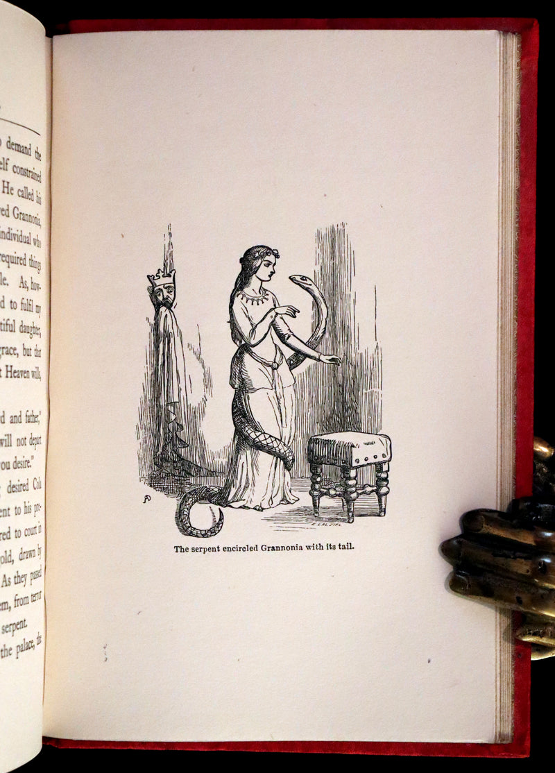 1901 Scarce First Edition - BUTTERFLY FAIRY BOOK illustrated by Richard Doyle.