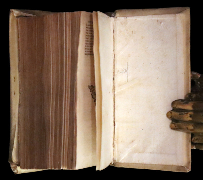 1652 Rare Vellum Latin Book - PLAUTUS Plays - Plauti COMOEDIAE Superstites XX. Accuratissime editae.