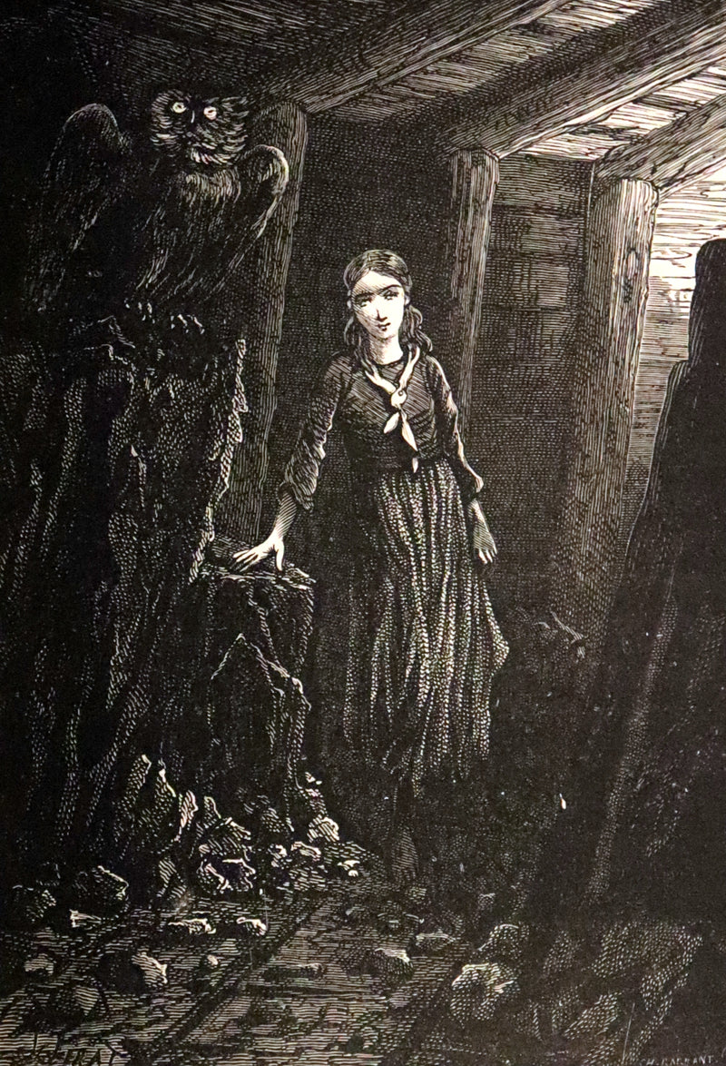 1883 Rare Third Edition - Jules Verne - Child of the Cavern Or Strange Doings Underground.